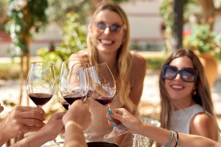 Traditional Vineyard Visit & Wine Tasting and Panachradoy Monastery – Half Day Tour