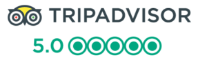 tripadvisor excellent 300x97 1
