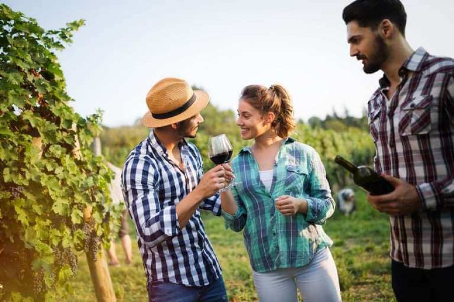 Seafarers’ Village & Vineyard Visit, Wine Tasting – Half Day Tour